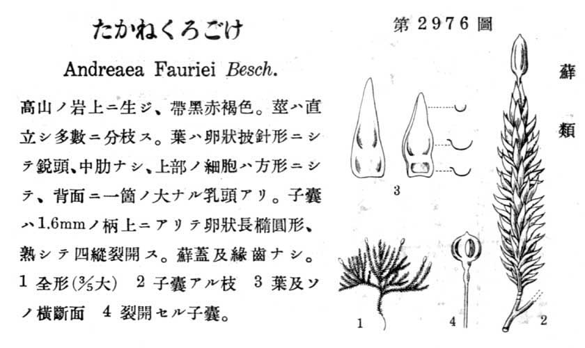 植物図鑑