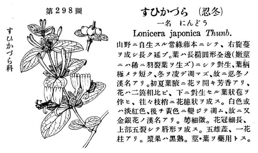 植物図鑑