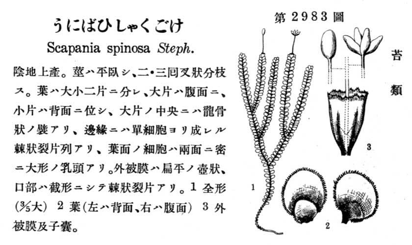 植物図鑑