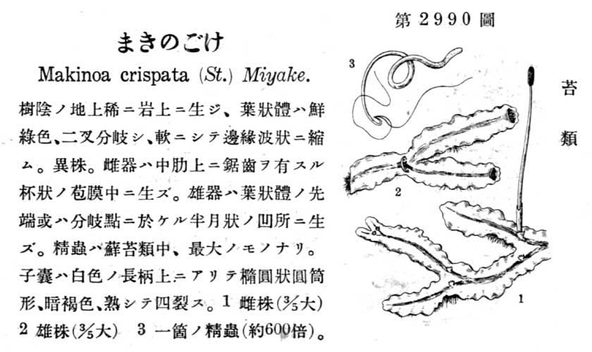 植物図鑑