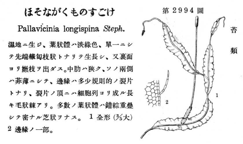 植物図鑑