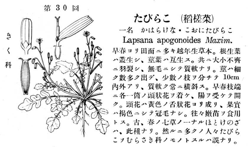 植物図鑑