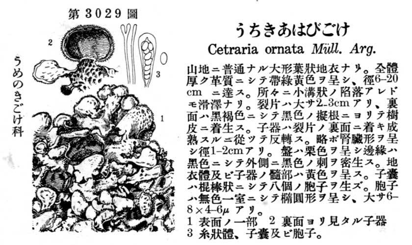 植物図鑑