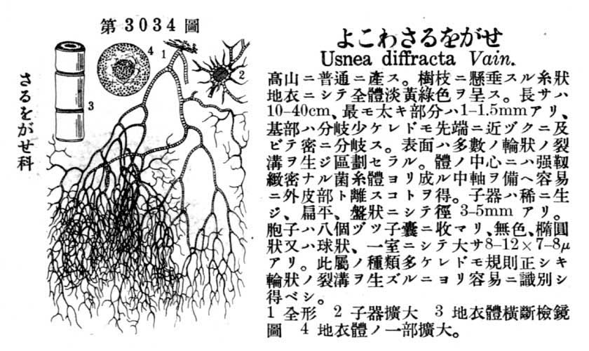 植物図鑑