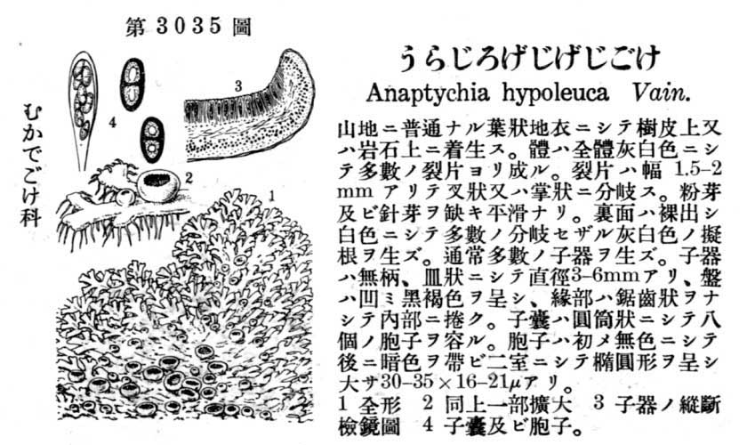 植物図鑑