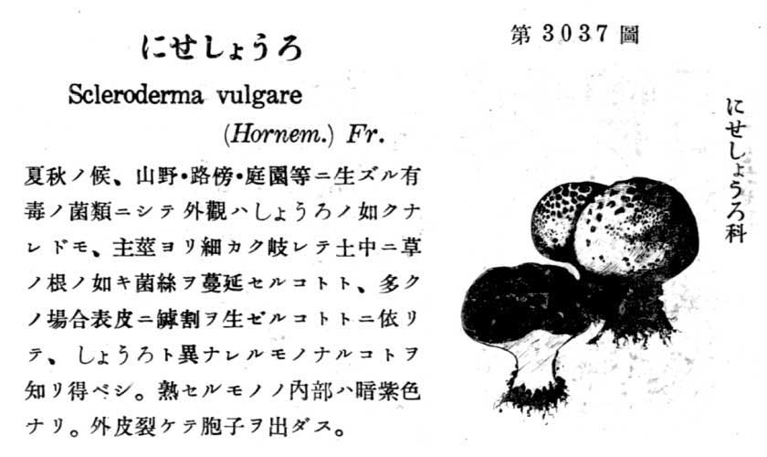 植物図鑑