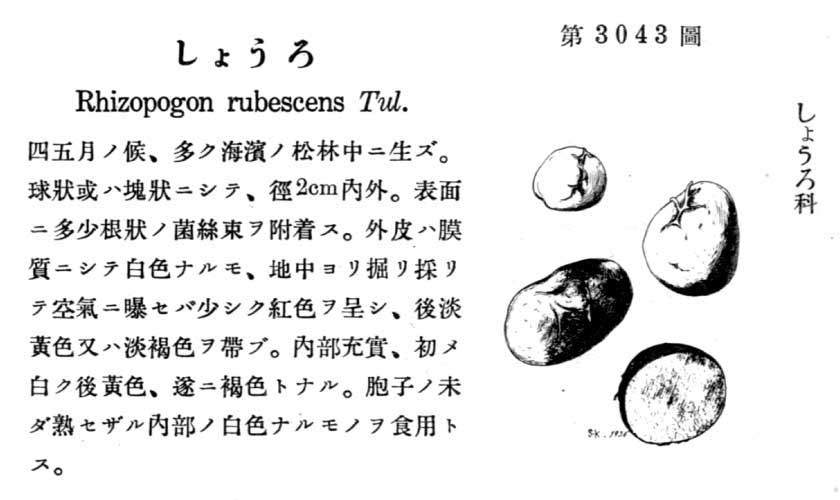 植物図鑑