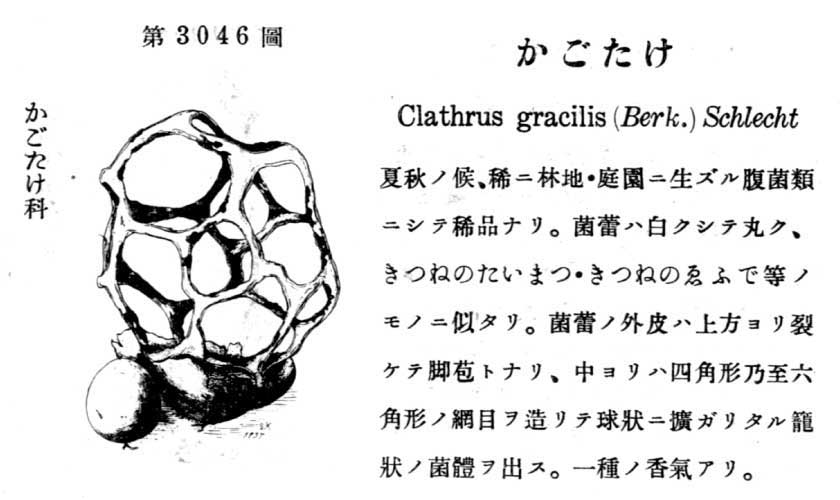 植物図鑑