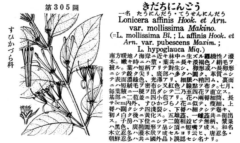 植物図鑑