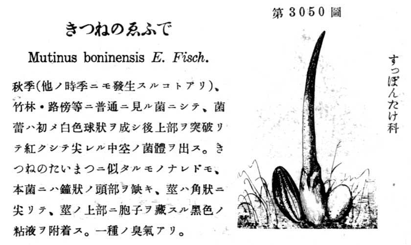 植物図鑑