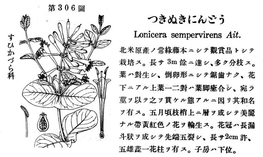 植物図鑑