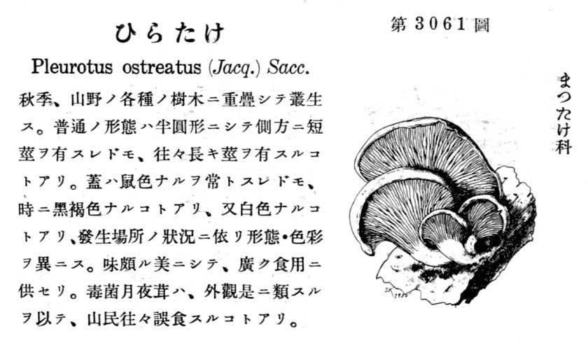 植物図鑑