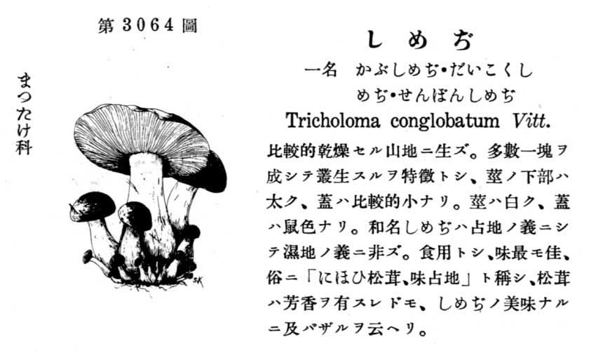 植物図鑑