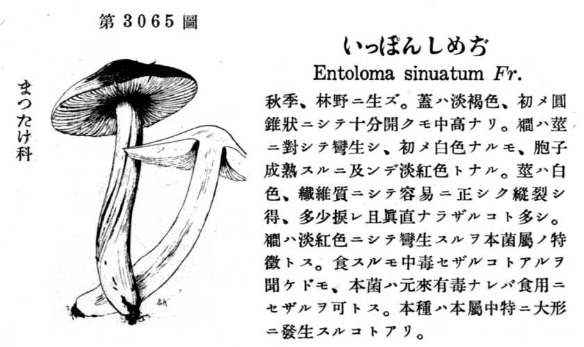 植物図鑑