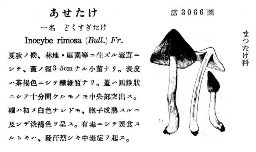 植物図鑑