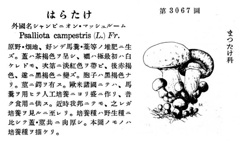 植物図鑑