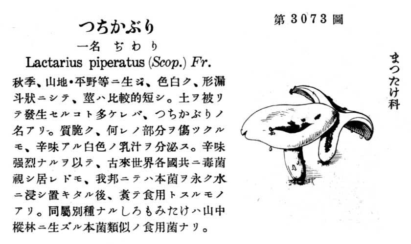 植物図鑑