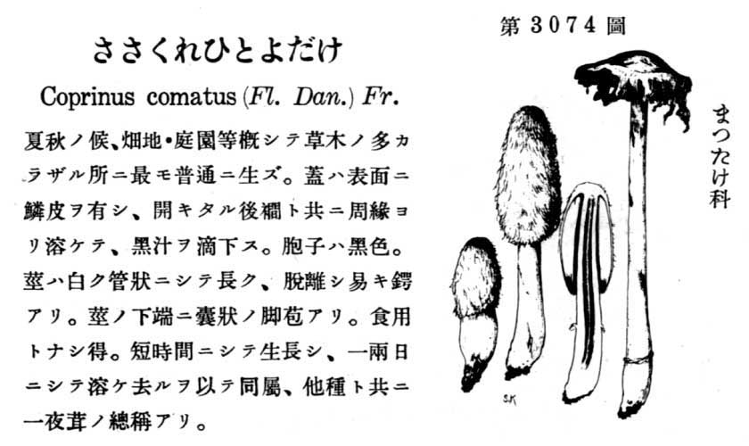 植物図鑑