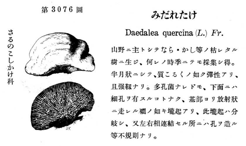 植物図鑑