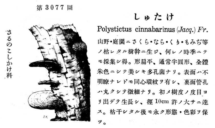 植物図鑑