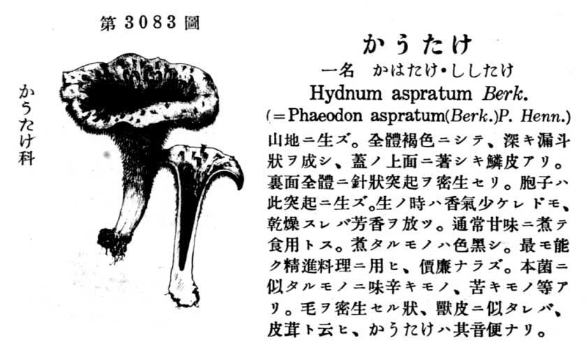 植物図鑑