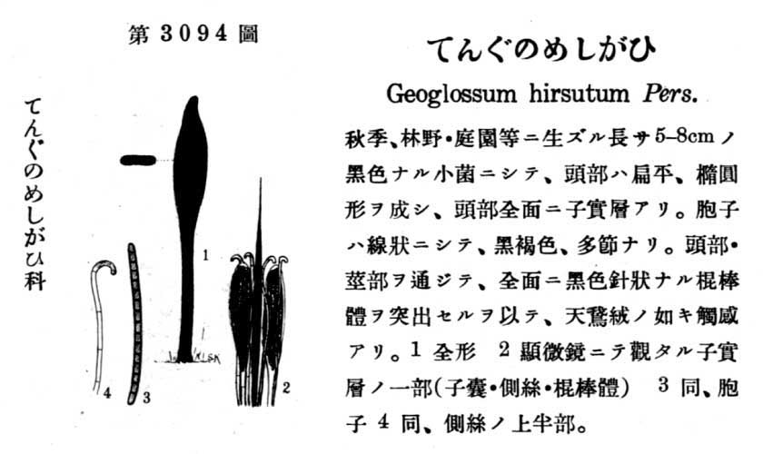 植物図鑑