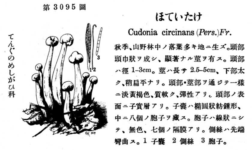 植物図鑑