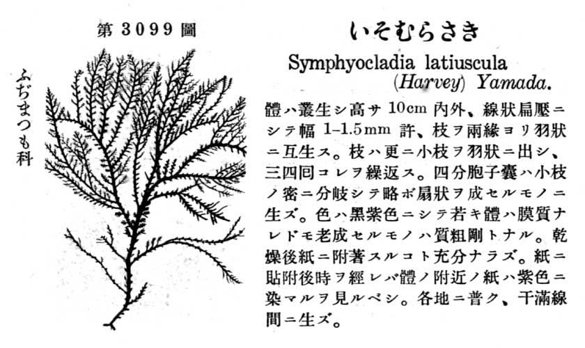 植物図鑑