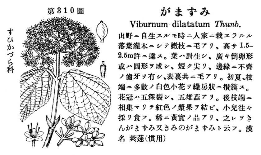 植物図鑑