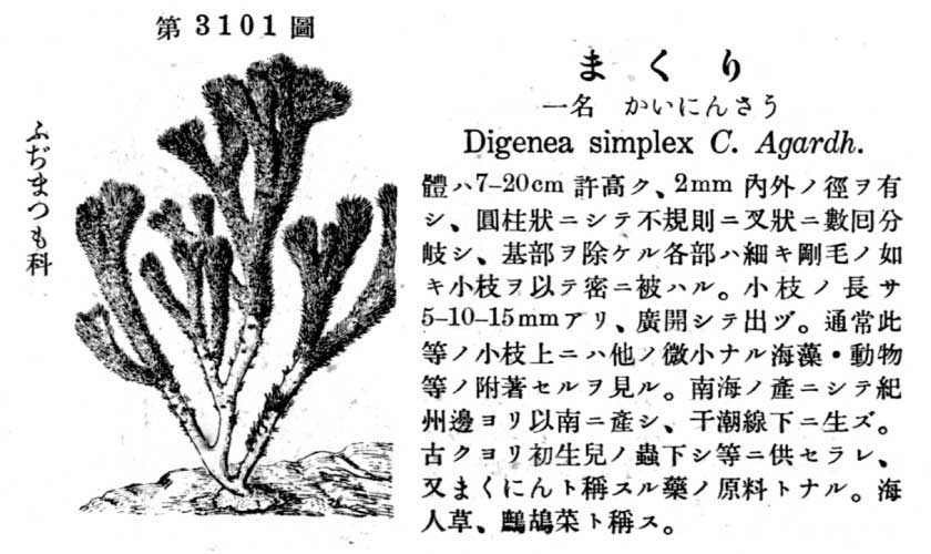 植物図鑑