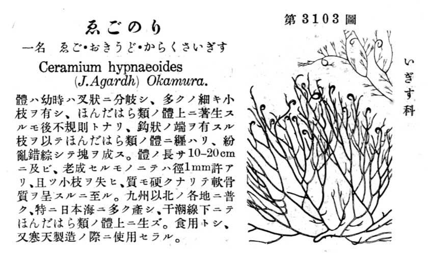 植物図鑑