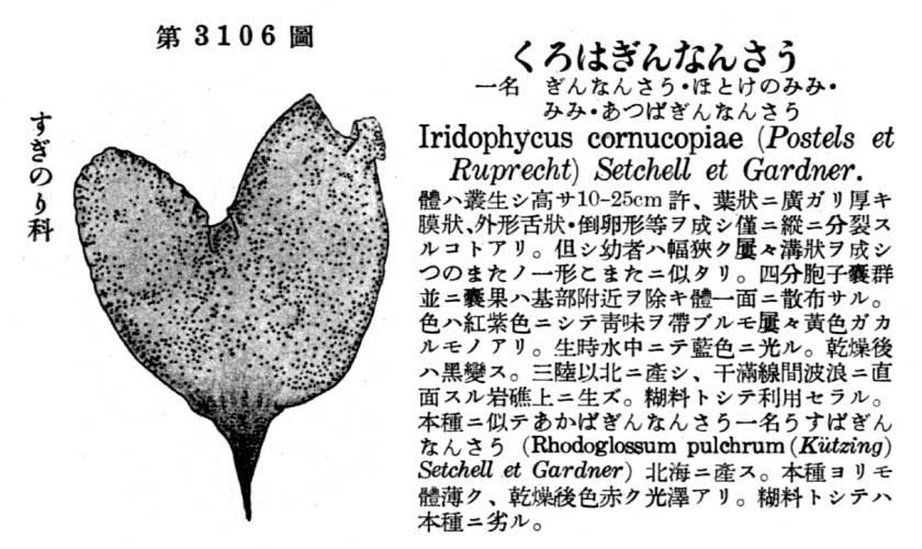 植物図鑑