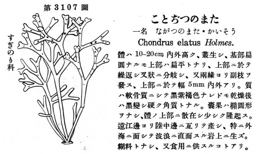 植物図鑑