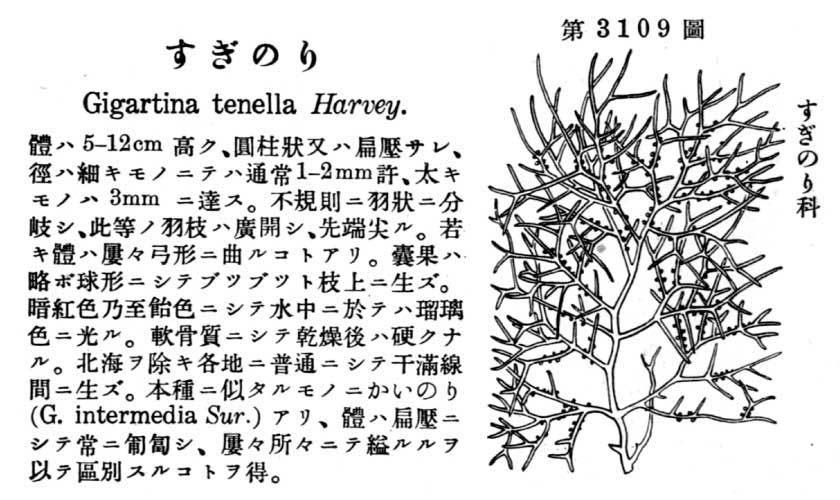 植物図鑑