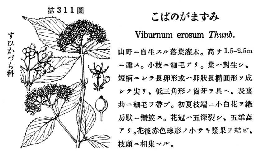 植物図鑑