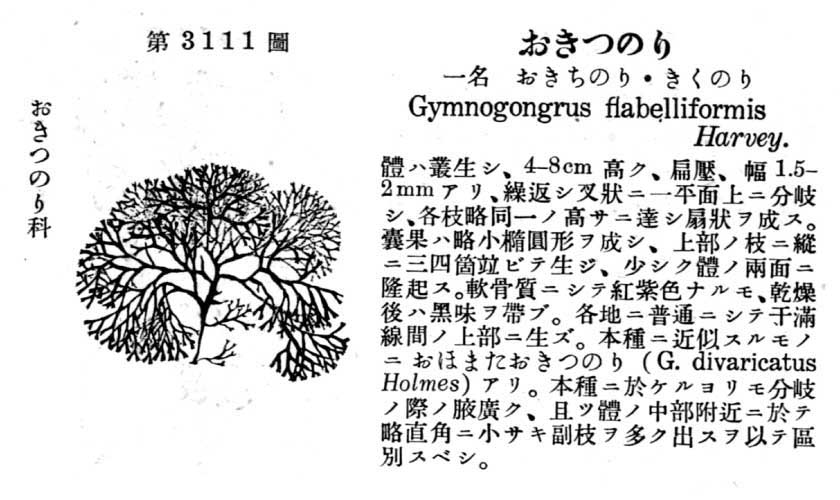 植物図鑑