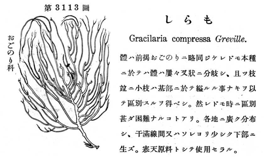 植物図鑑