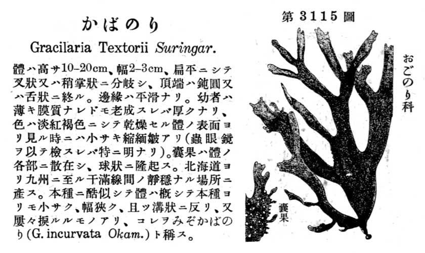 植物図鑑