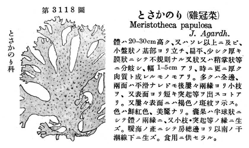 植物図鑑