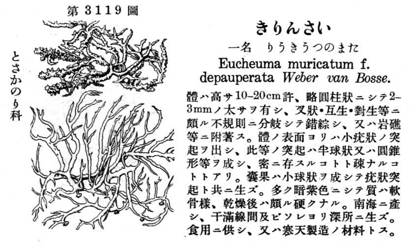 植物図鑑