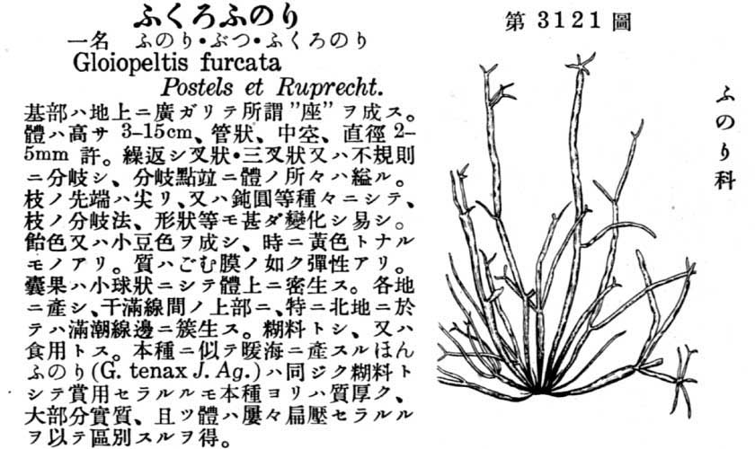 植物図鑑