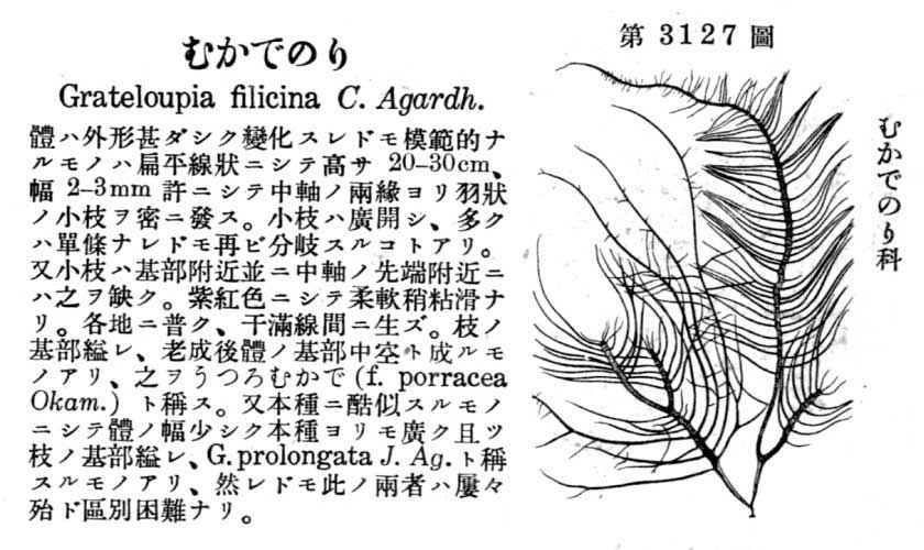 植物図鑑