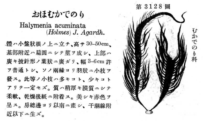 植物図鑑