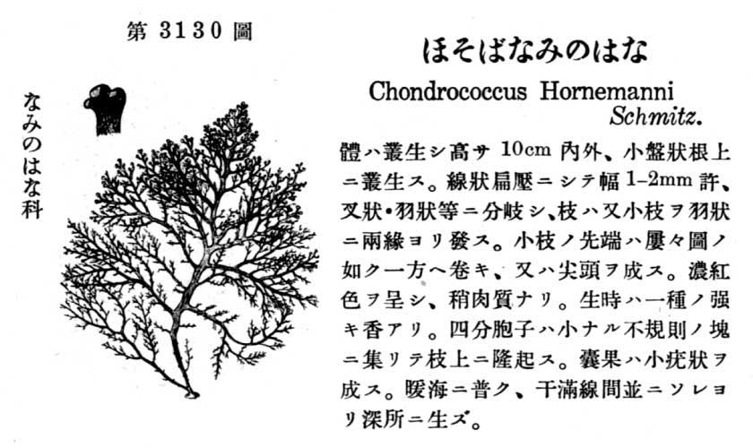 植物図鑑