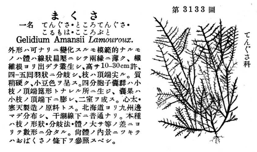 植物図鑑