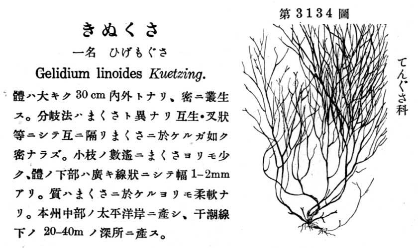 植物図鑑