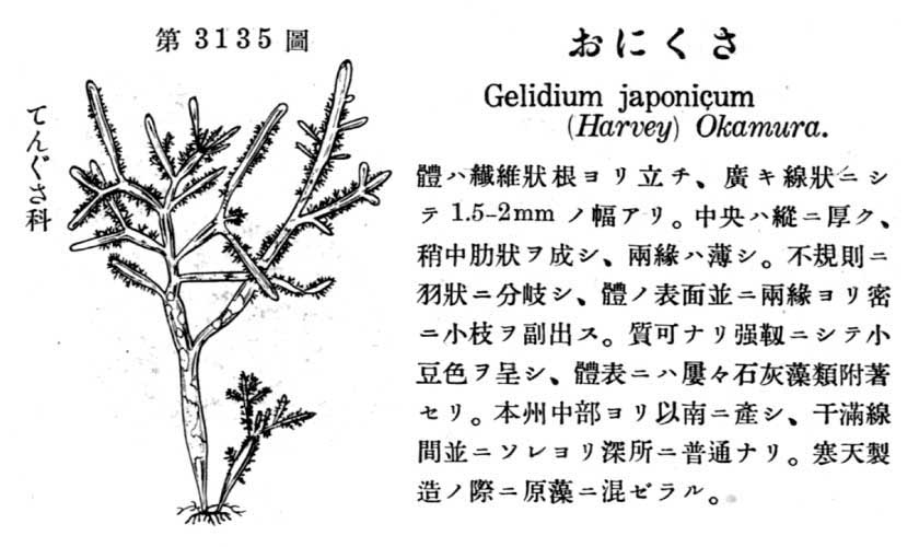 植物図鑑