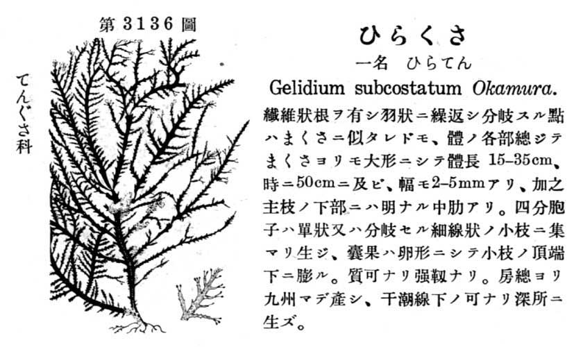 植物図鑑