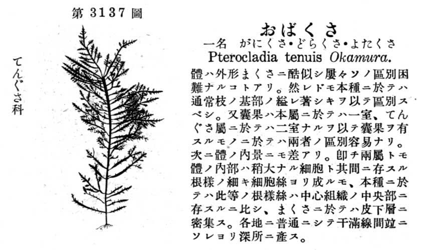 植物図鑑