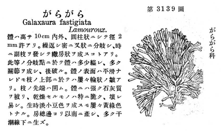 植物図鑑